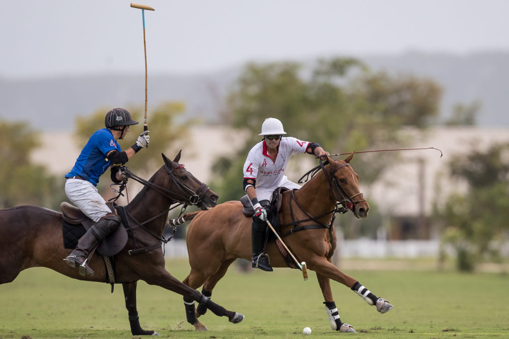 Polo Challenge RD 2017