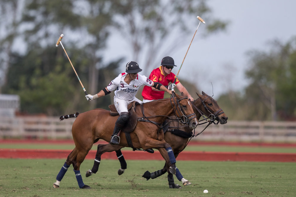 Polo Challenge RD 2017